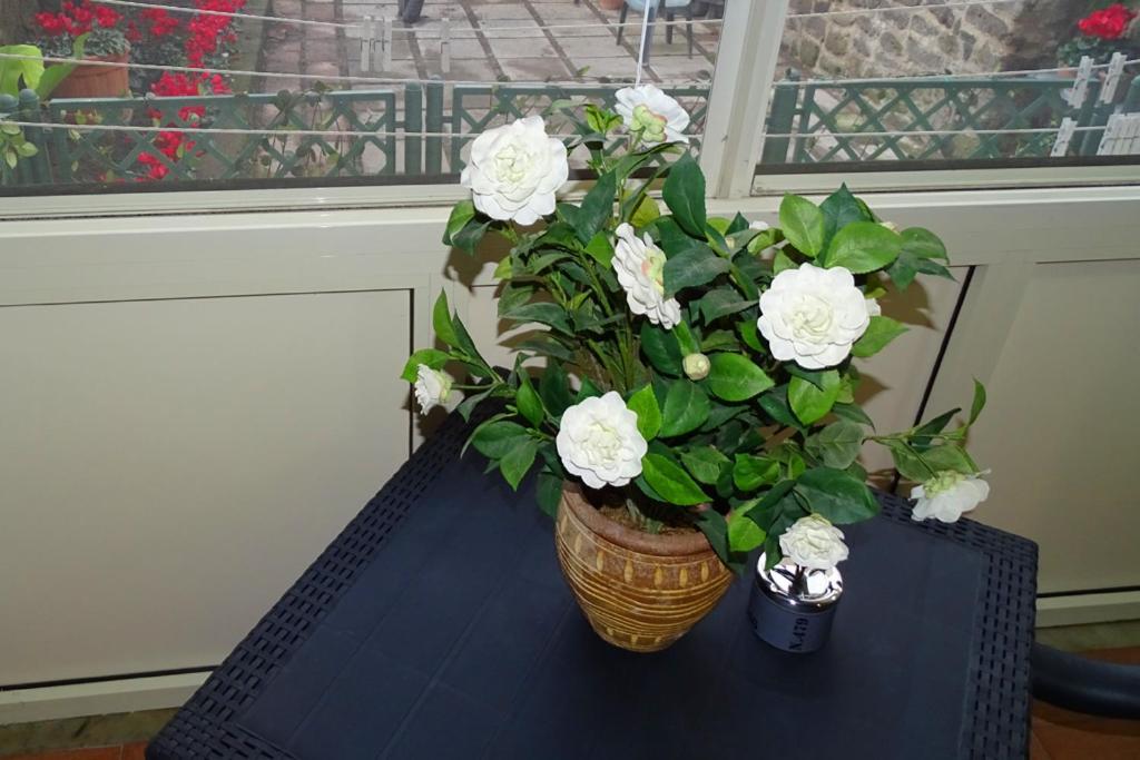 Nonna Peppa - Sorrento Bed and Breakfast Sant'Agnello Εξωτερικό φωτογραφία